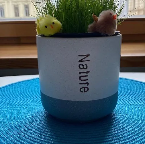 Moja Pensionat Kaunas